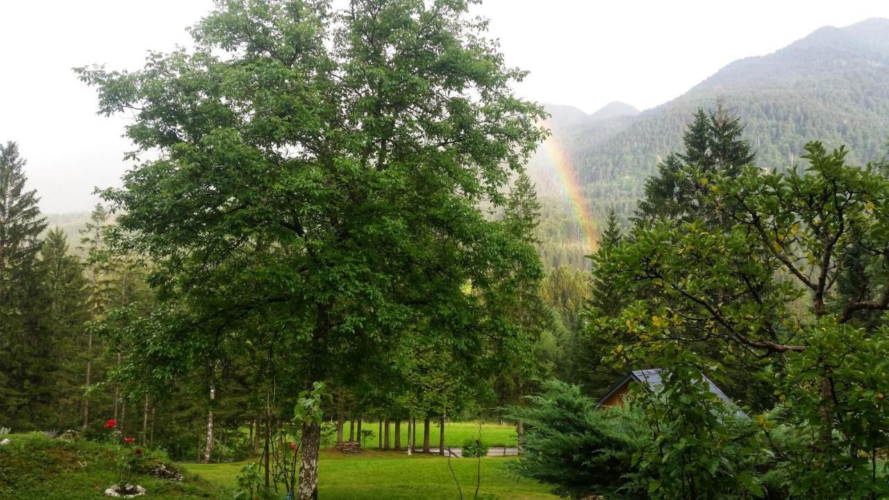Pocitniska Hisa Eros Villa Bohinj Eksteriør billede